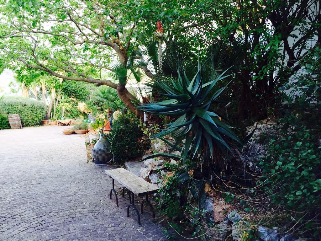 Villa Il Cappero San Vito Lo Capo Dış mekan fotoğraf